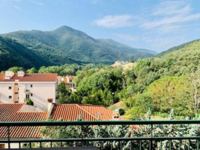 Appartement F3, 4 Couchages, Balcon, Wi-Fi, Garage, Ascenseur, Proche Centre et Cures, Amélie-les-Bains - FR-1-703-97